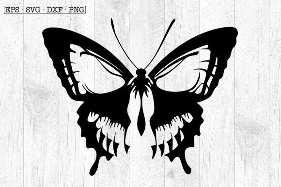 Download Butterfly Skull Svg , Skeleton Svg - Svg Collection